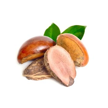 7 BENEFICIOS DE LA MANTECA DE KARITÉ, EL FRUTO DEL ÁRBOL SAGRADO